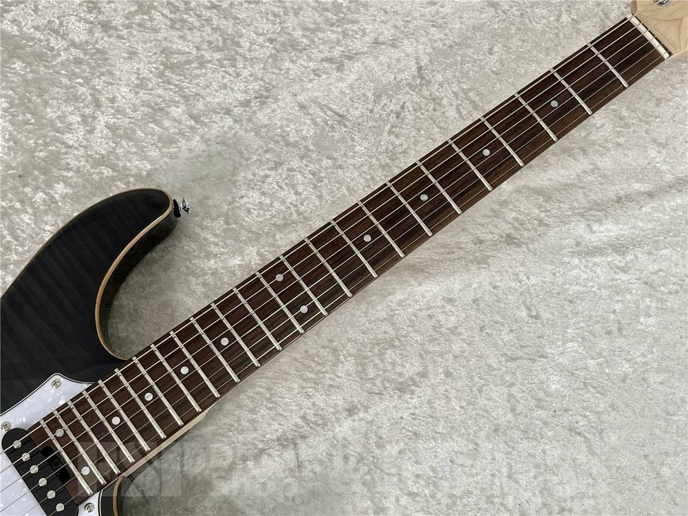 GrassRoots G-SNAPPER-CTM See Thru Black