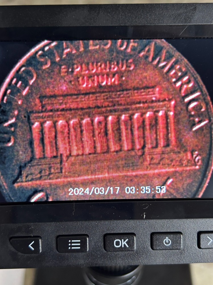 1973 Lincoln Penny No Mint Mark "buffalo?" Error