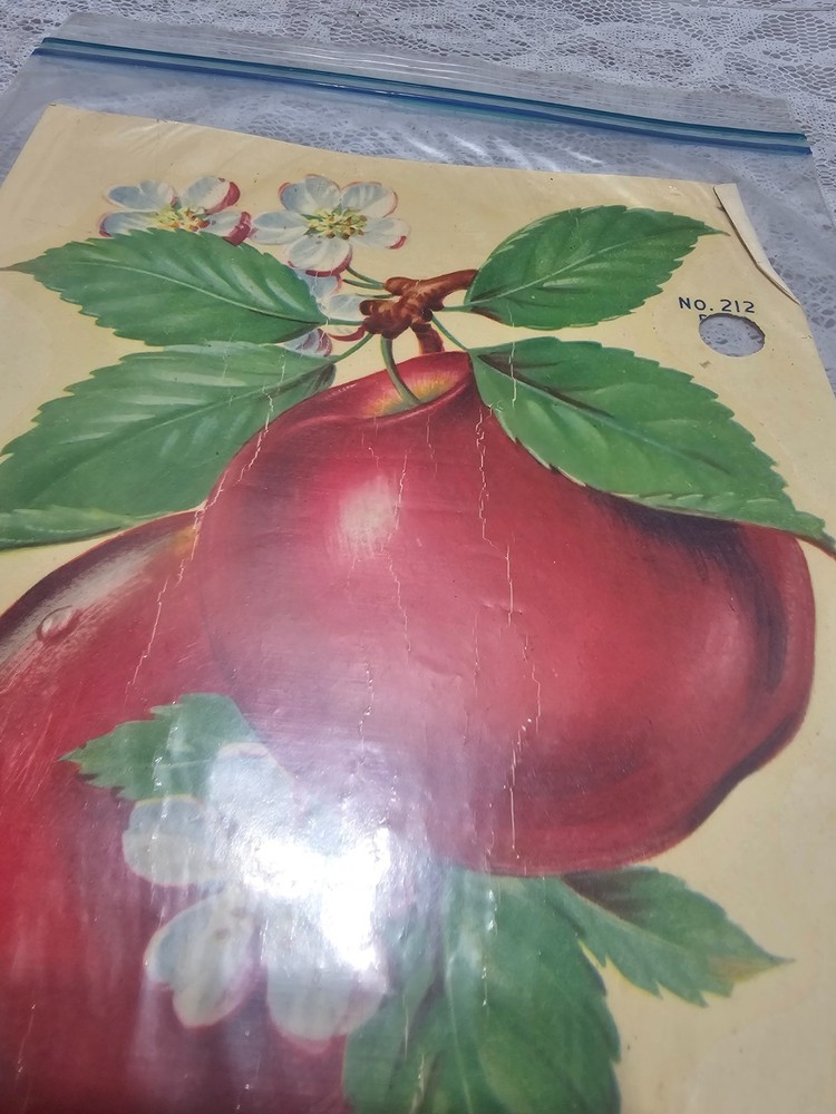 Vintage Eagle Decorative Decals Pattern Number 212