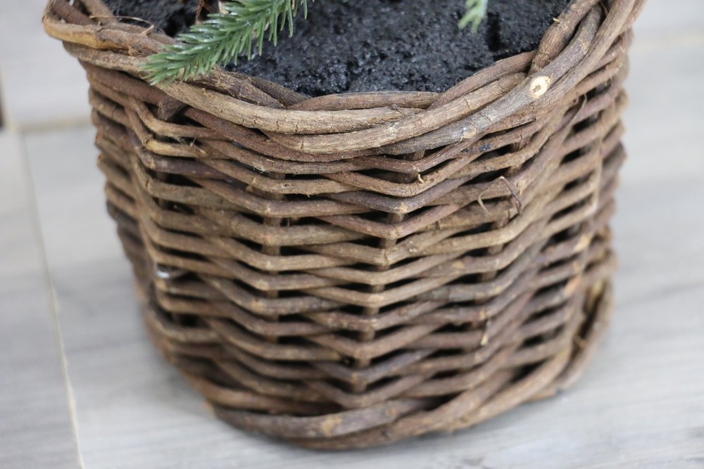 Pottery Barn Lit Pine Tree Small in Basket 18"