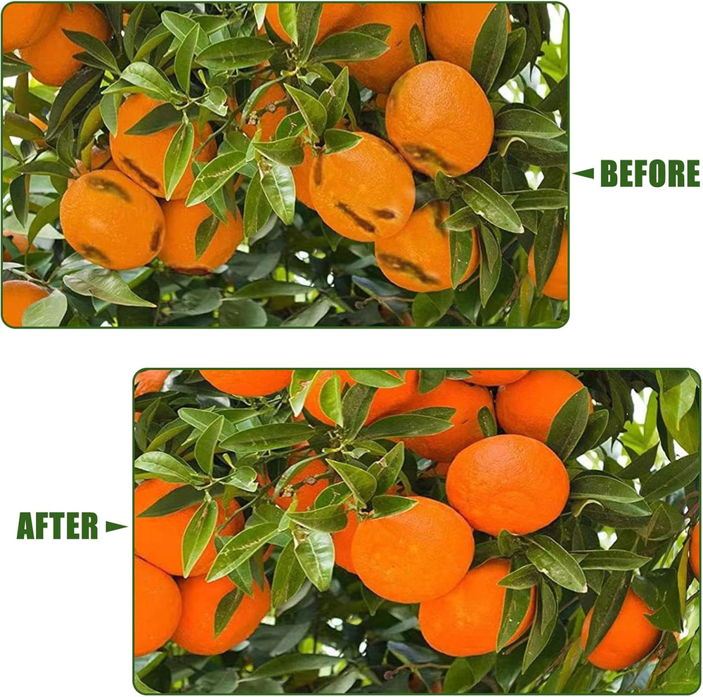 12'X12' Large Fruit Tree Netting with Zipper - Protects Fruit from Squirrels, Bi