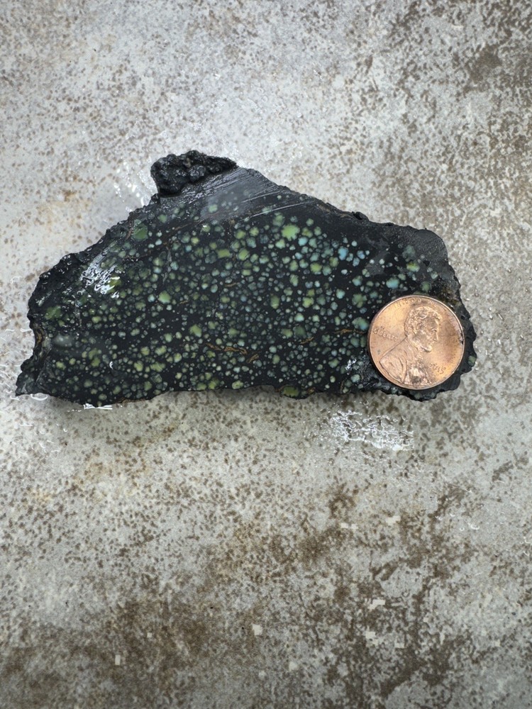 Natural Nevada Variscite rough star fox