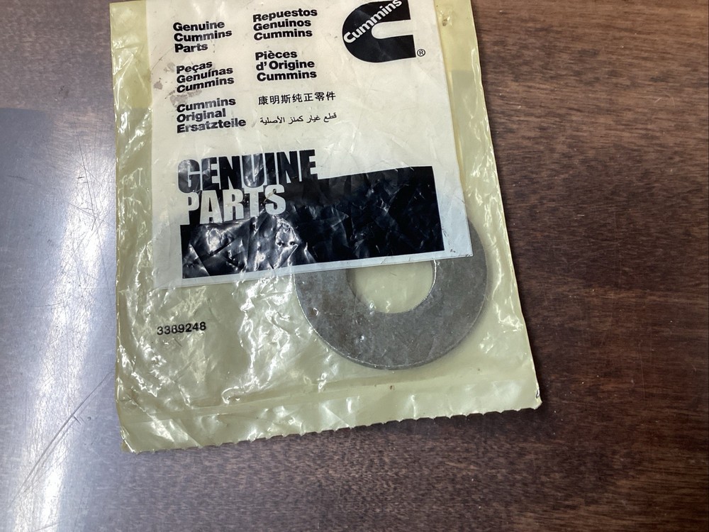 CUMMINS WASHER,PLAIN 3818463