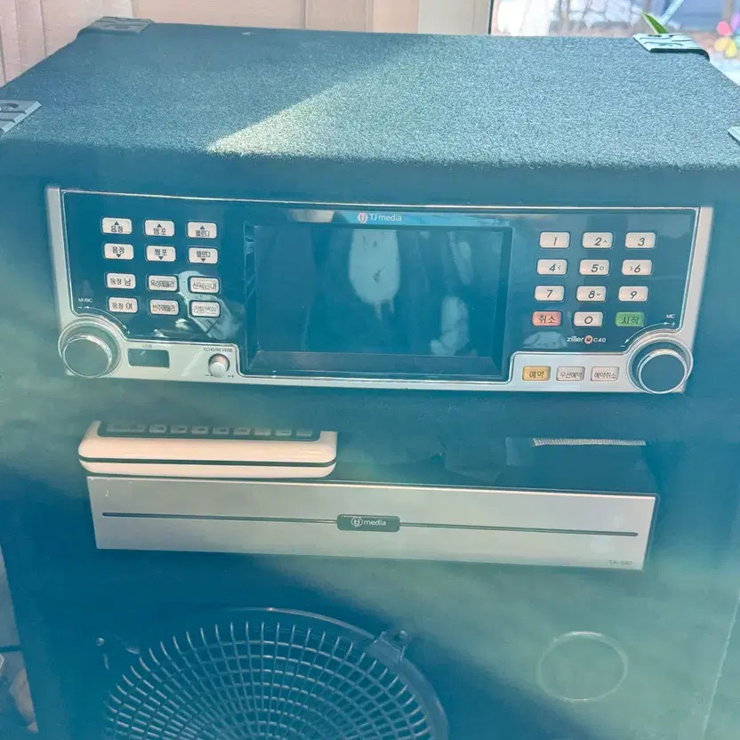 Wireless Karaoke Microphone Set with JBL Microphones & Mirror Light