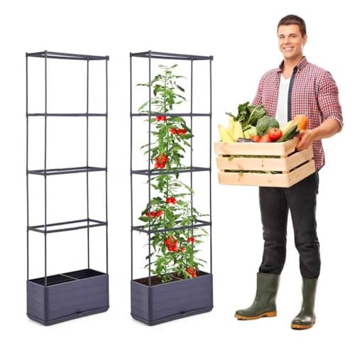 GENMOUS 2 Pack Raised Garden Bed, 4 Tier Rectangular Tomato Planter Box with