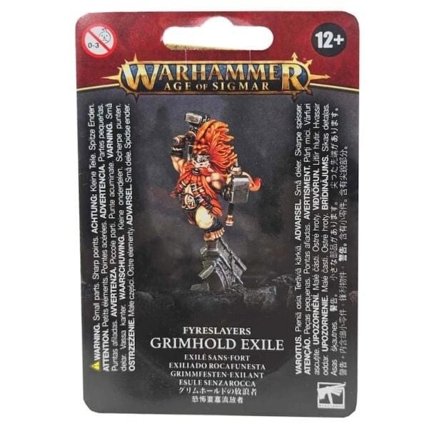 Grimhold Exile Warhammer Age of Sigmar