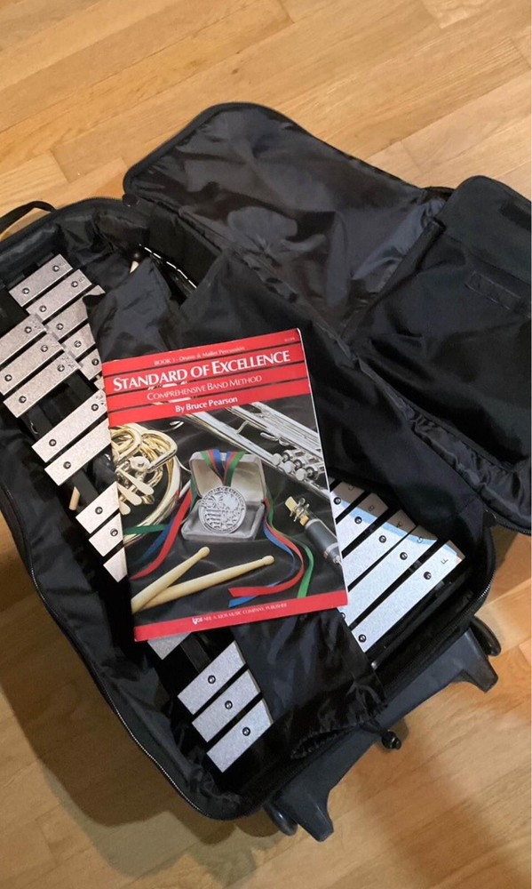 Percussion percussion xylophone