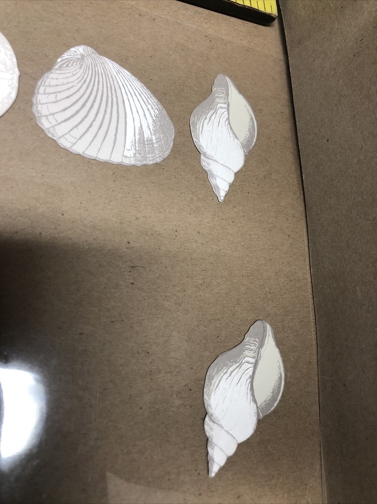 EMBELLISHMENTS-SAND DOLLARS & SHELLS- DIMENSIONAL -6PC SET