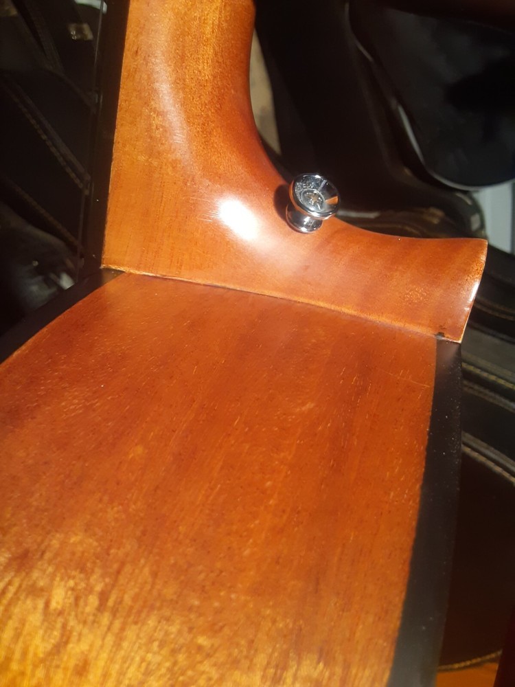Hohner HC620 Classical Guitar Solid Top 2-Way Truss Rod