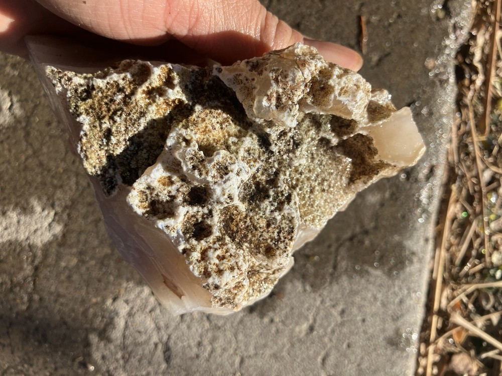 Luna Agate Specimen (Rough)