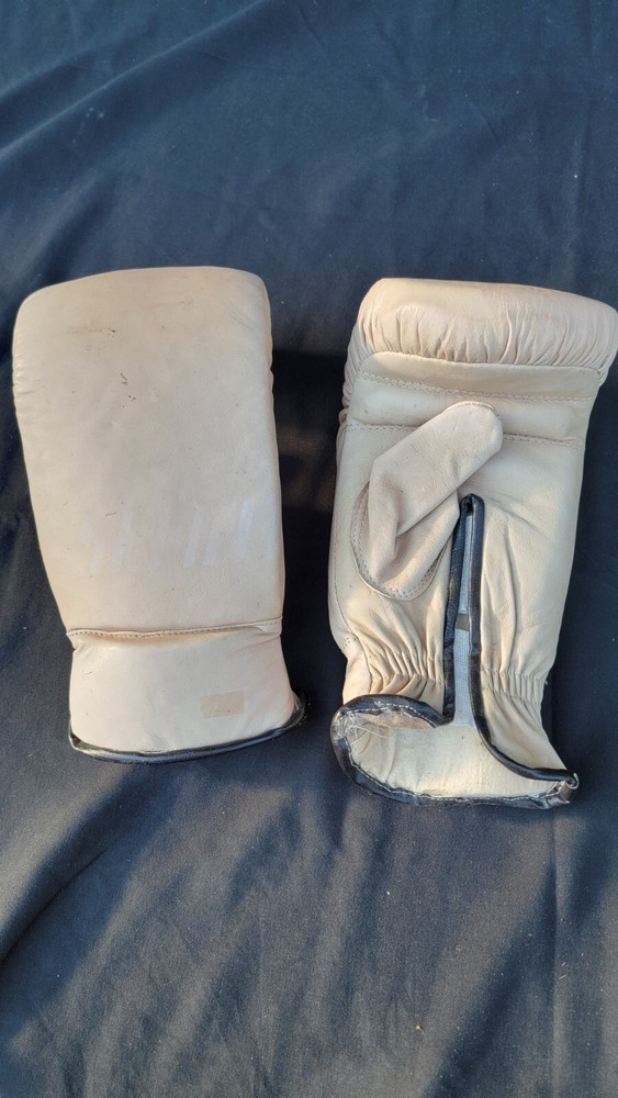Vintage Boxing Gloves Fighting Boxer