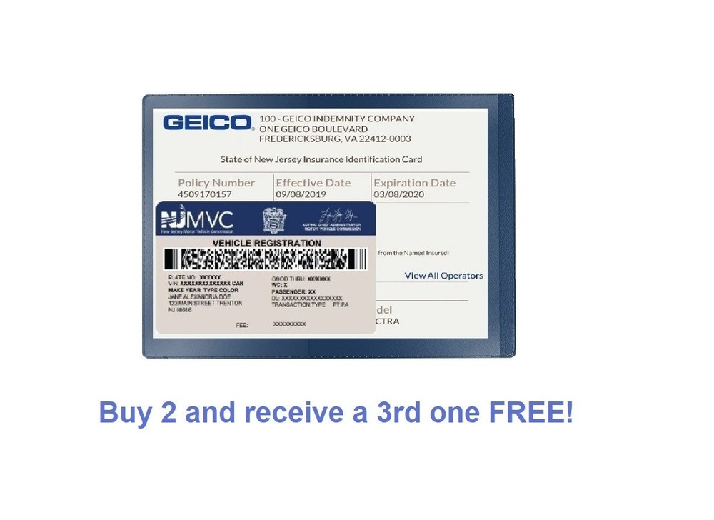 Blue Car Insurance Registration Document Holder - 1 Pack