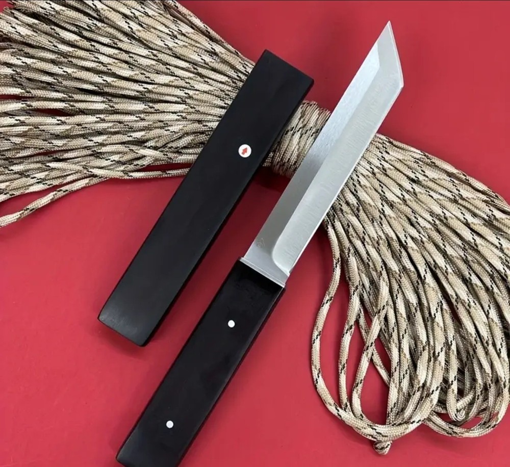 Tanto / Katana style fixed blade with sheath