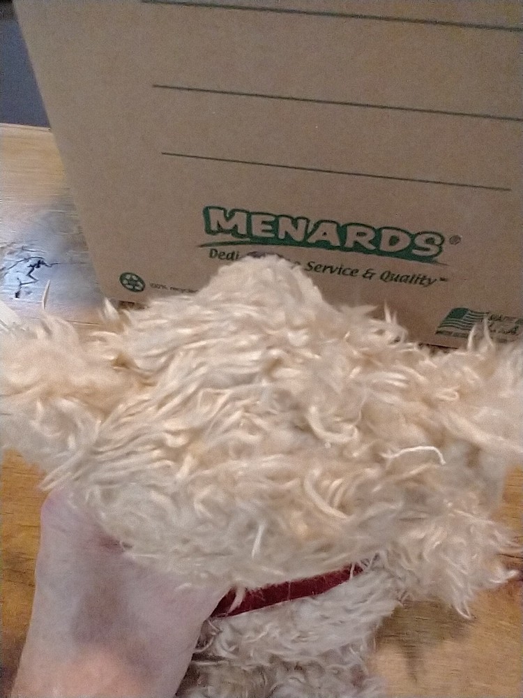 Debonair Bear With Tag