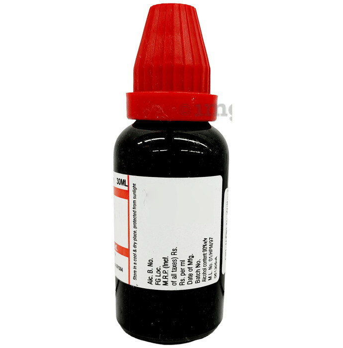 Willmar Schwabe Insulinum 200 CH Dilution, 30 ml