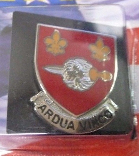 US ARMY UNIT CREST 176 ENGINEER BATTALION ARDUA VINCO PIN DUI