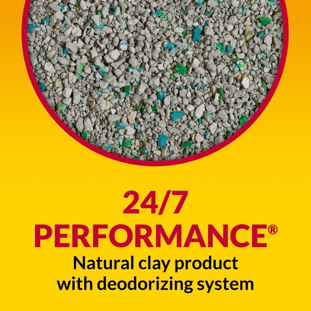 Non-Clumping Cat Litter, Deodorizing Formula, 48 lb Bag