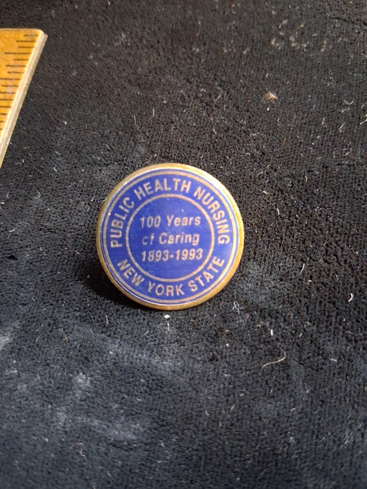 Nursing Pin NY State