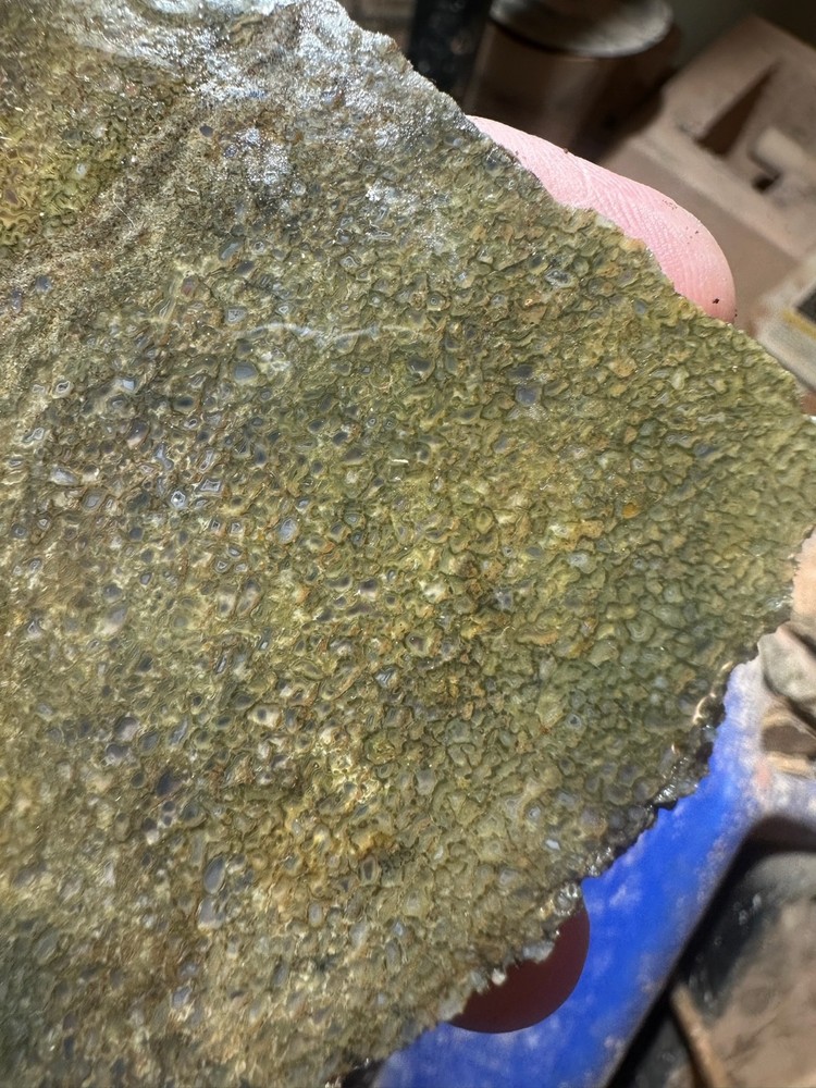 Dinosaur bone rough **hxtled slab.