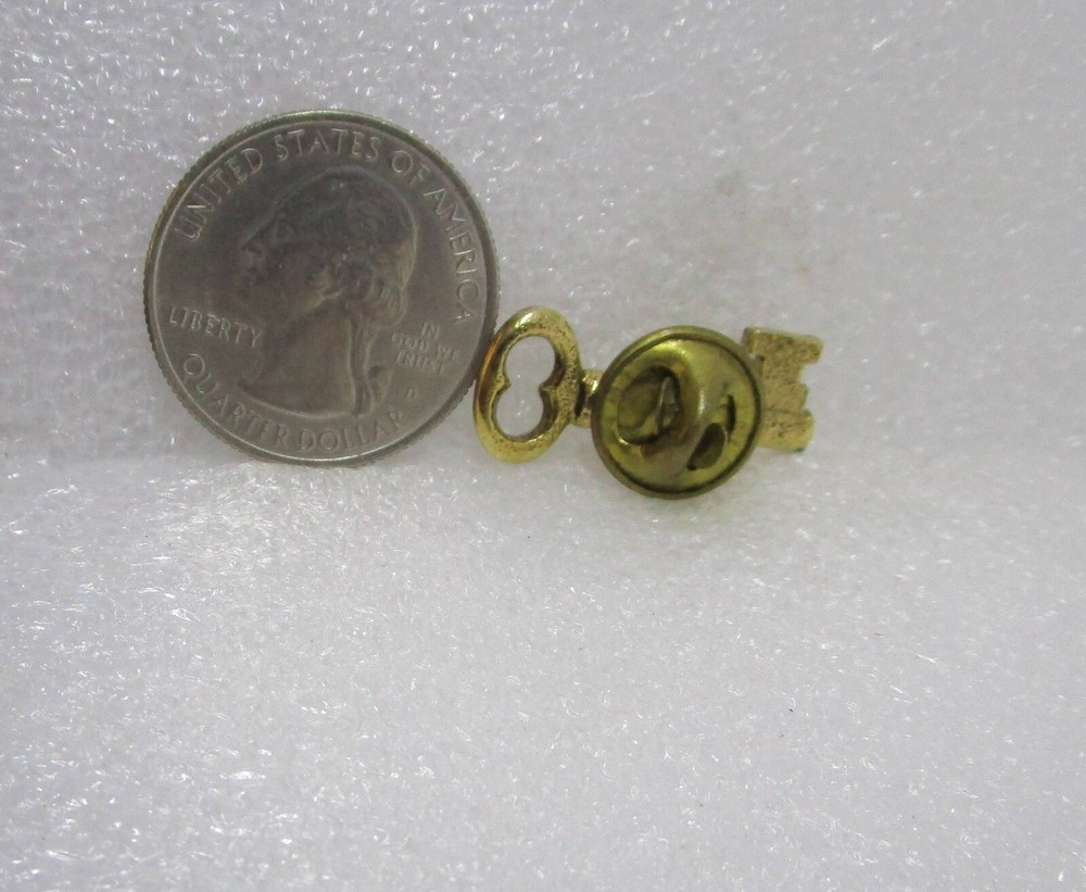 Volunteer Key Pin