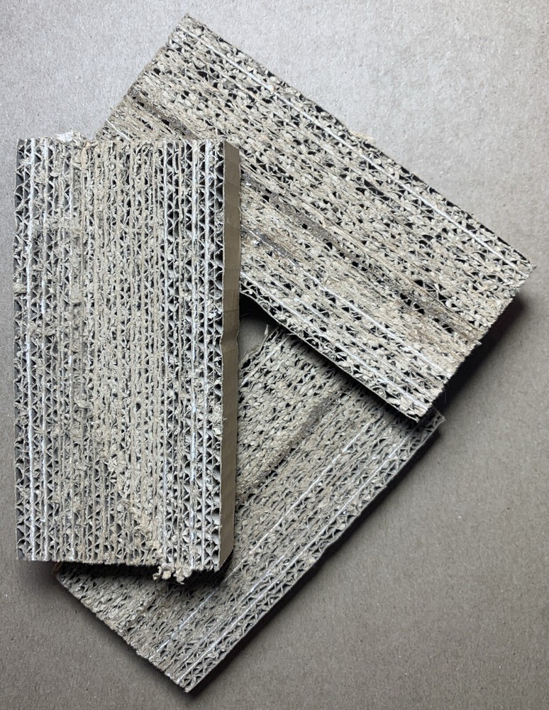 Superworm Egg/Larvae Nursery Panel