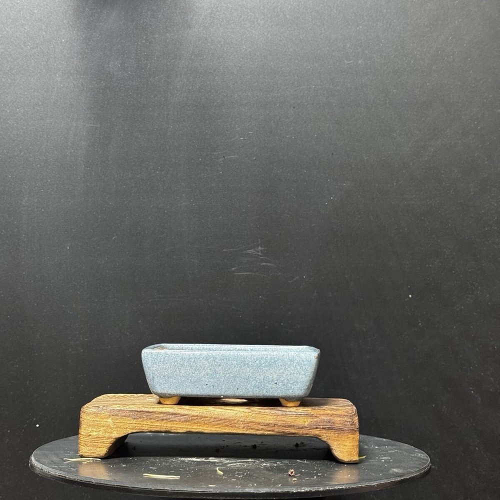 Japanese Bonsai Pot Rectangular 10cm  Light Blue Mihashira Ceramic Planter New
