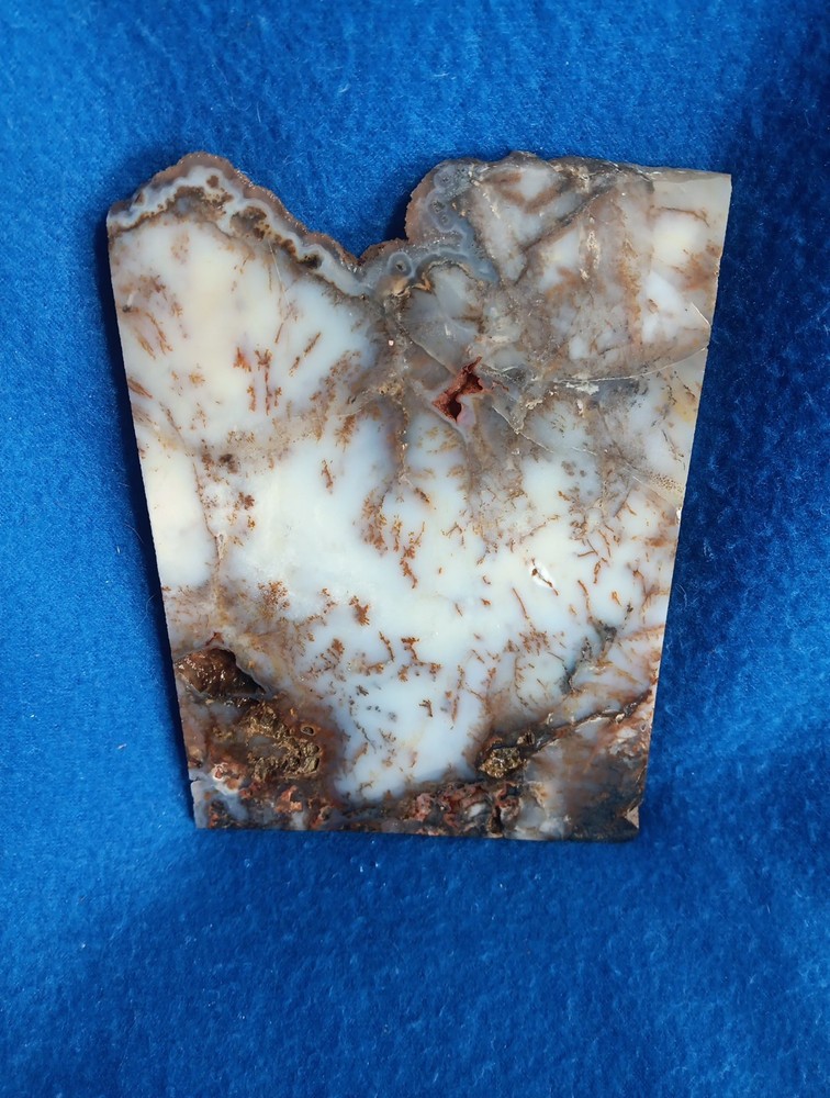 Graveyard Point Plume Agate rock slab lapidary cabbing 4x6