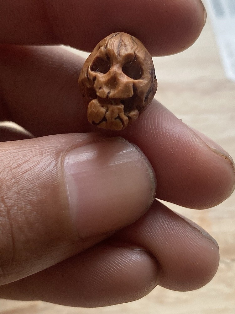 Miniature Skull 11 Carved From Peach Pit