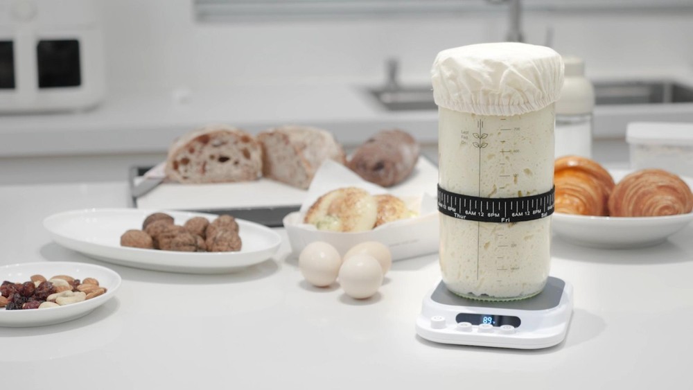 Sourdough Starter Warmer with Precise Temp Control, 24H Timer, Fits Flat/Concave