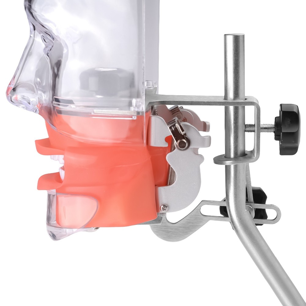 Desktop Dental Manual Manikin Simulator Phantom Head Model for Training Practice