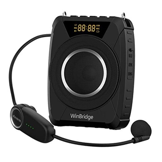 Voice Amplifier Wireless Microphone, 20W Portable PA System with Bluetooth &