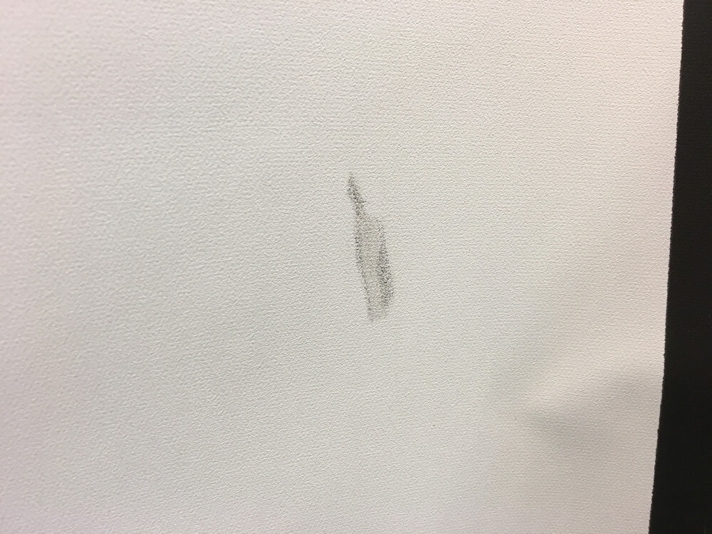 Quartet Projector Screen 60" x 60" Manual Pull Down Projection Screen PREOWNED