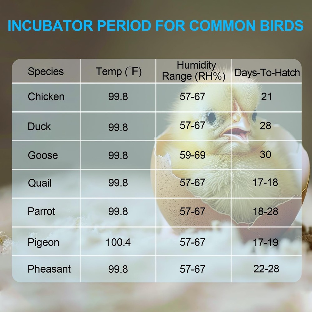 18 Egg Incubators for Hatching Eggs with Temperature Control, Egg Incubator w...