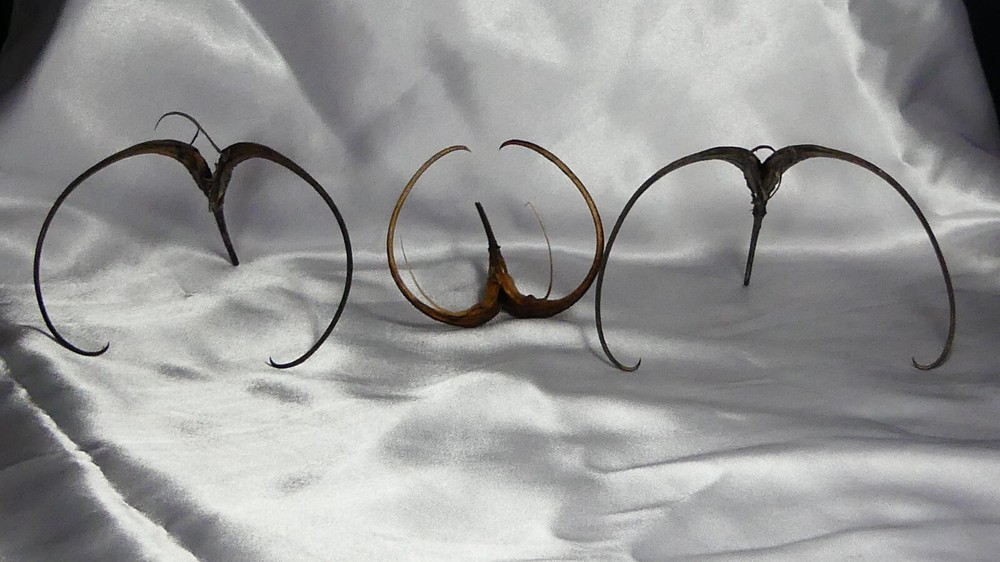 devils claw (1PC)