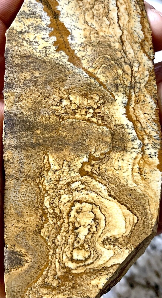 african queen picture jasper