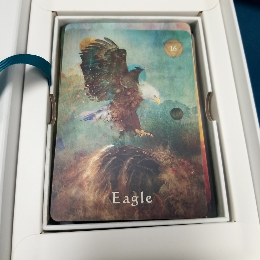Mystical Shaman Oracle Card Deck & Guidebook Complete Box Set Baron-Reid 2018