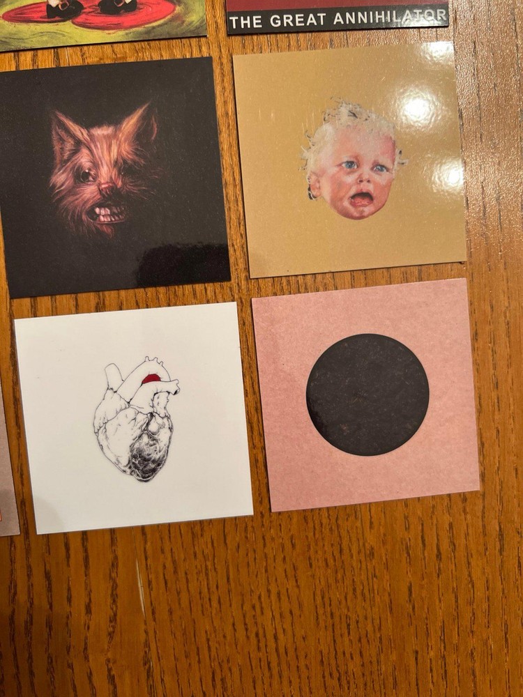 Swans fridge magnets