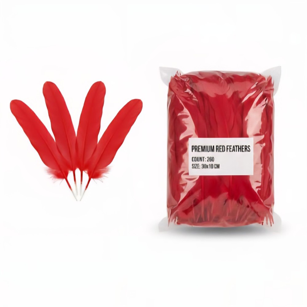 Turkey Feathers for crafts 1lb. bulk ~250 Pcs - Red