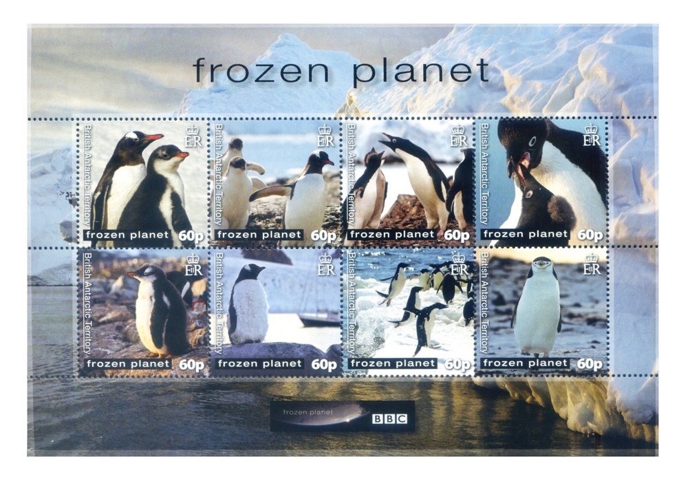 British Antarctic Territory. Local Wildlife 2011. 2 mini sheets.