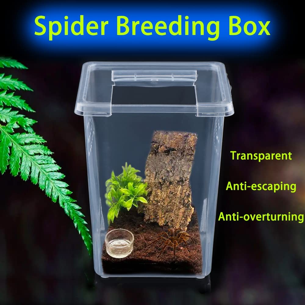 4 Pcs Insect Spider Terrariums Breeding Box Hatching Container Small Reptile ...