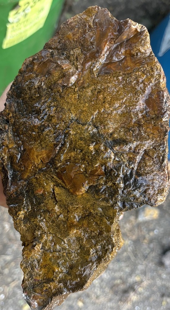 Colorful petrified wood