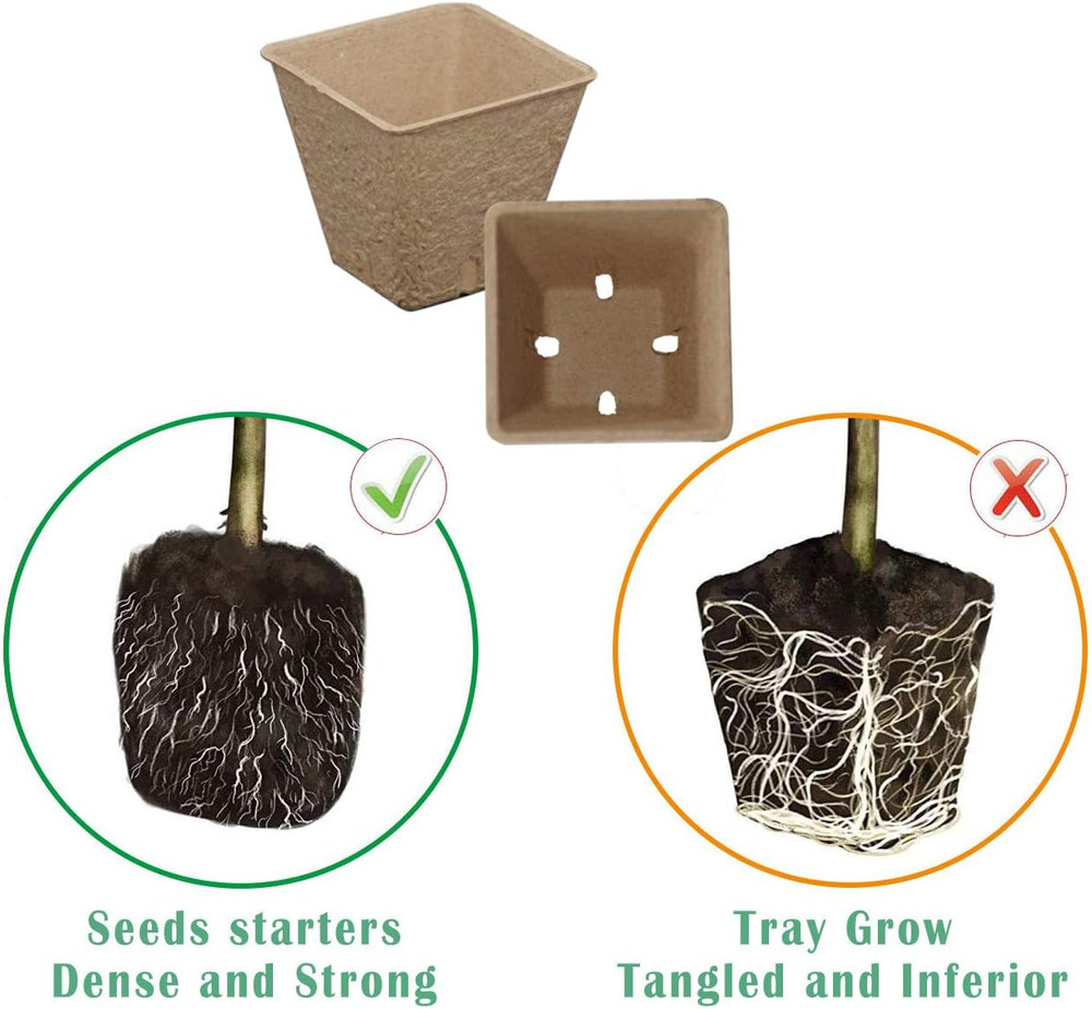 Seed Starter Kit with 100 Biodegradable Peat Pots, 5 Trays, Dome & Spray