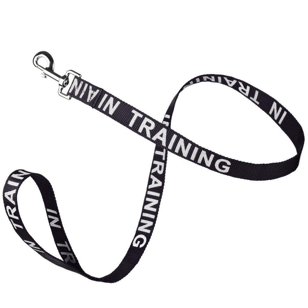 Reflective "IN TRAINING" Leash W 1" x L 48" - Black