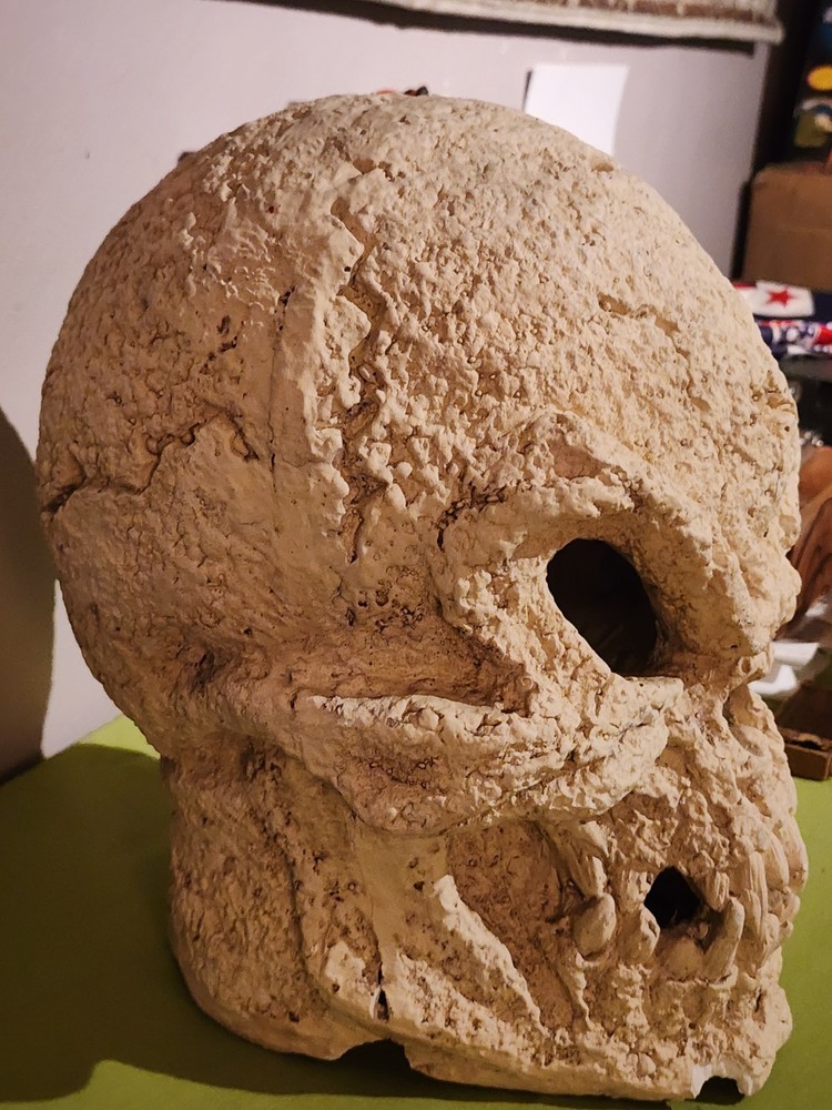 14" Skeleton Ceramic Skull Display Decoration