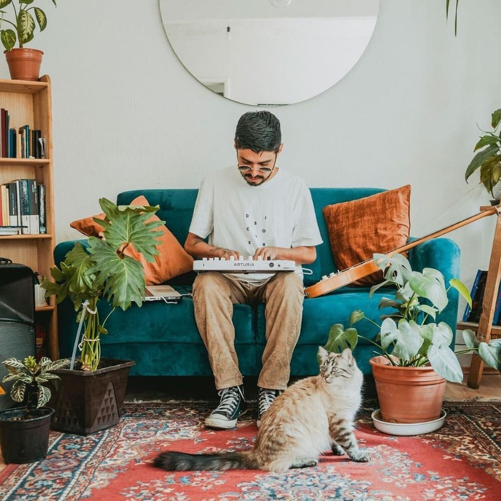 Arturia MiniLab 3 Mini Hybrid Keyboard Controller Bundle with iCON Pro Audio ...