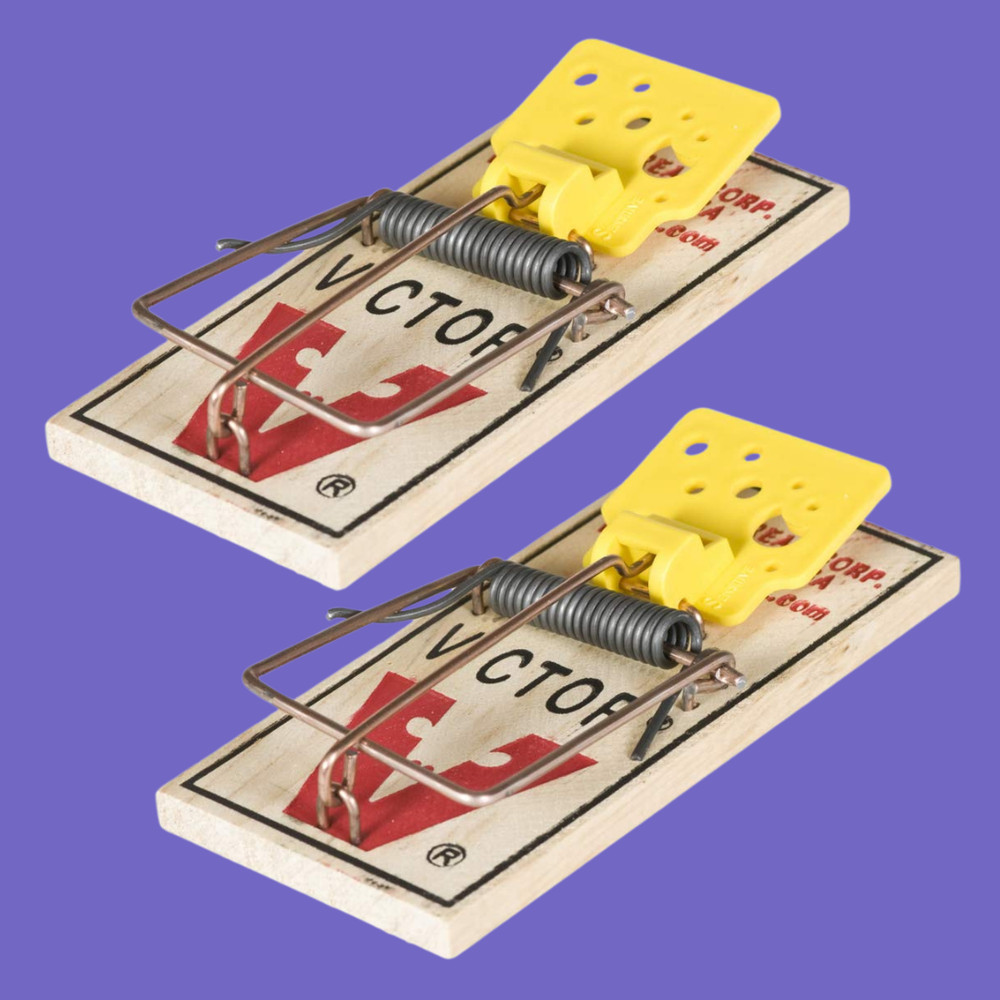 Easy Set Mouse Traps, 2-Pack, - (4 count )