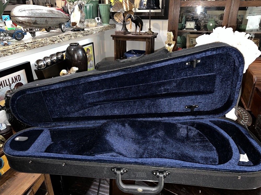 Aileen CSV102 Basic Lightweight Suspension Violin Black Zip Hard Case backpack