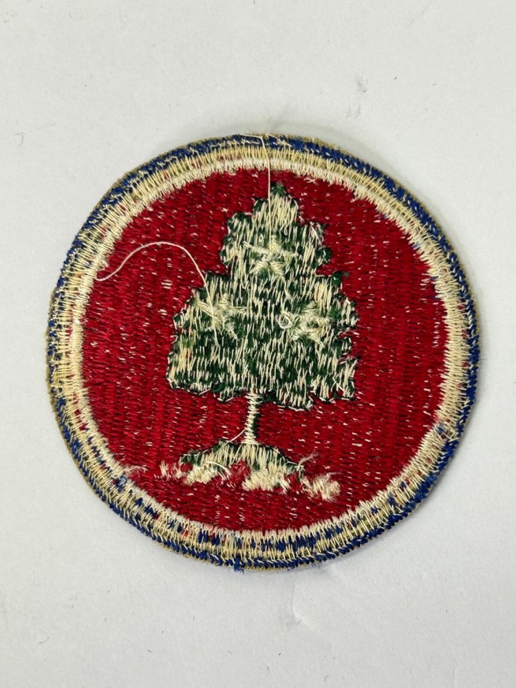 Tennessee National Guard Patch