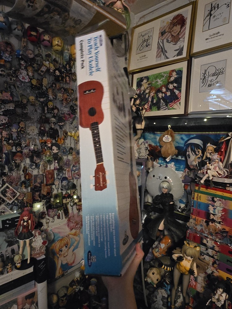 Alfred's Learn To Play Ukulele Starter Kit