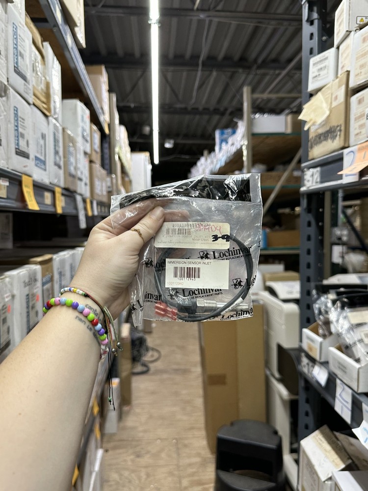 100112940 | 9008657005 | A.O. Smith Inlet Immersion Sensor